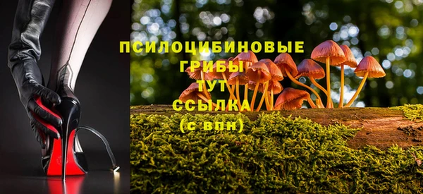 твердый Саяногорск