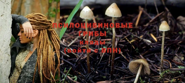 амф Волоколамск